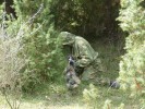 Shooter s War (11).JPG